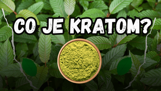 CO JE TO KRATOM A JAKÉ MÁ ÚČINKY?