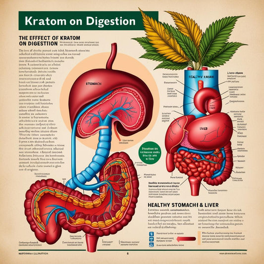 Kratom a trávení