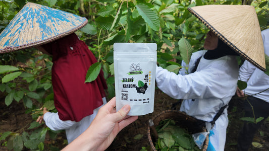 V čem se liší náš kratom od ostatních?